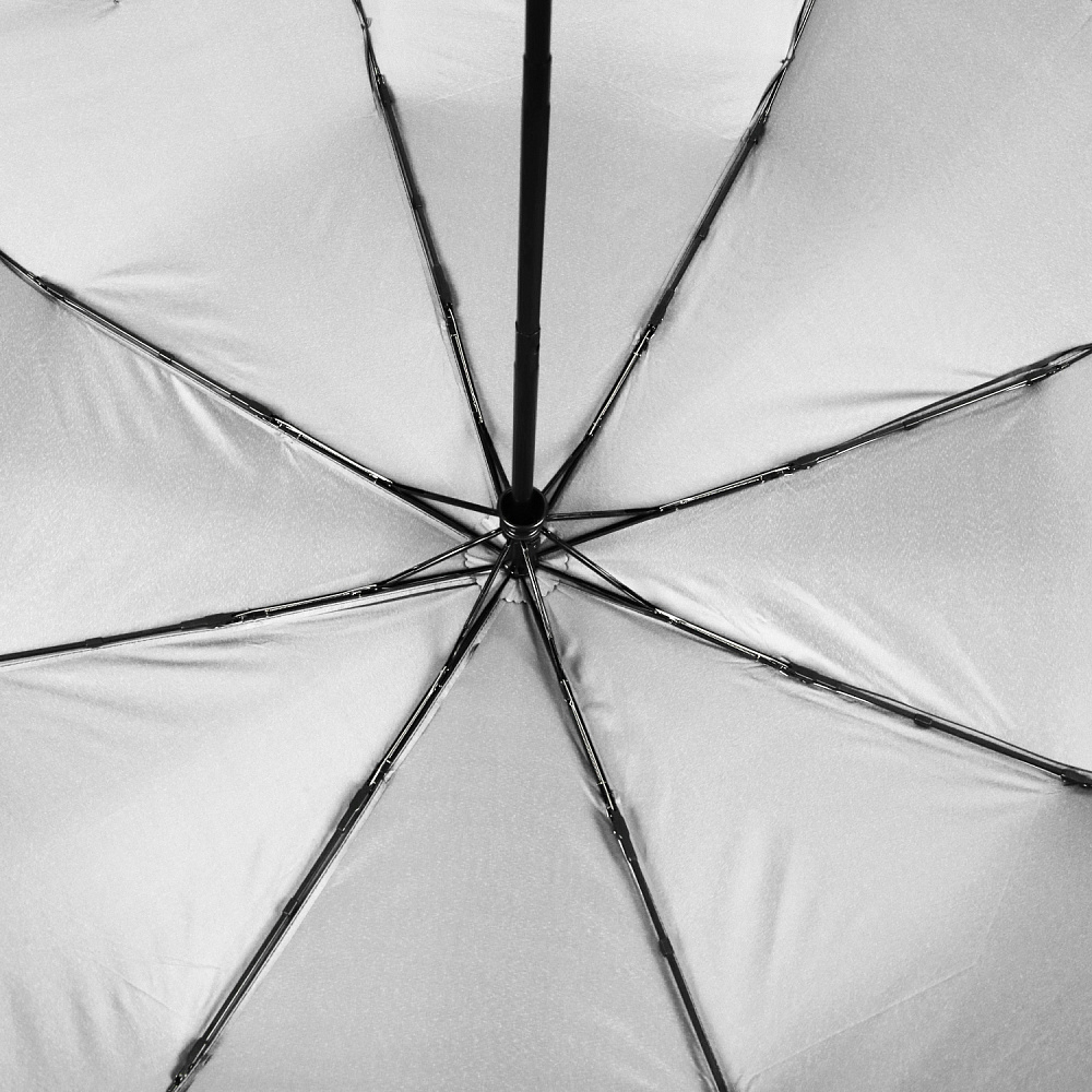 Зонт-автомат Fabretti UFDF2001-42