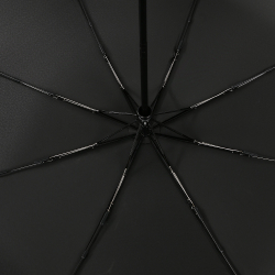 Зонт-автомат Fabretti UGS6001-2