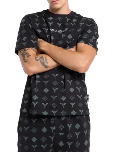 Футболка Carlo Colucci