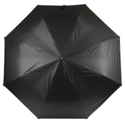 Зонт-автомат Fabretti UFDF2001-42