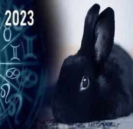 Подбираем наряд для новогодней ночи 2023