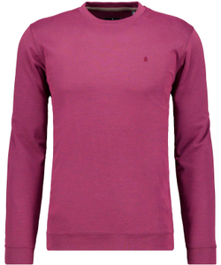 Лонгслив Ragman 5488180