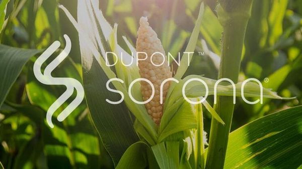 DuPont Sorona