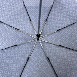 Зонт-автомат Fabretti UFLS20193-2