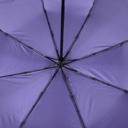 Зонт-автомат Fabretti UFDF2001-10