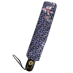 Зонт Fabretti автомат женский S-20165-13 голубой